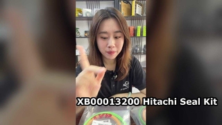 오일 누출 수정! Hitachi XB00013200 수리 키트